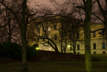 Castle east side Slottsparken Oslo-1177