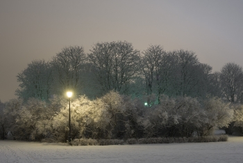 Frognerparken at snowy night-1436