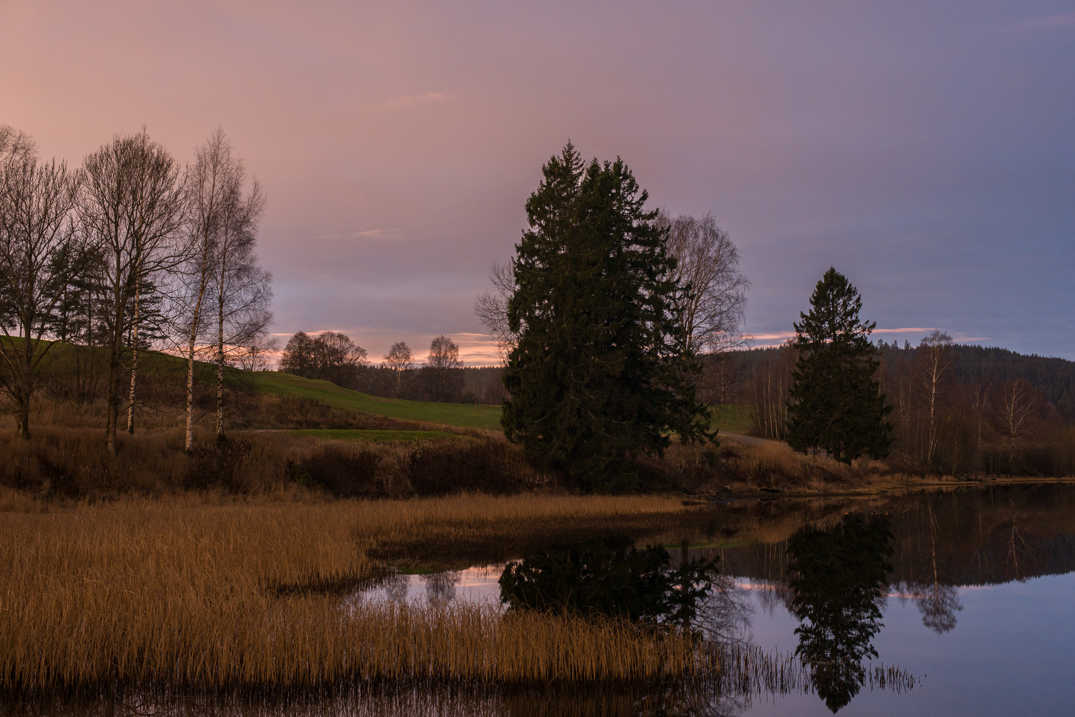 Evening at Bogstad Lake-0627