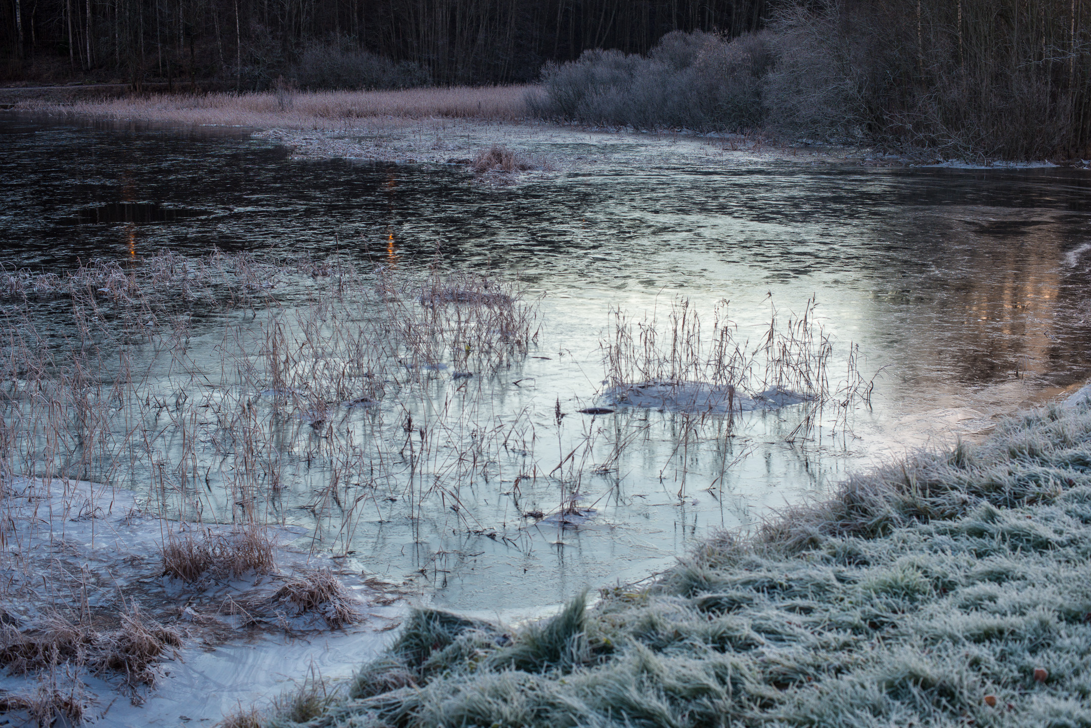 Icy morning at Bogstad-1007