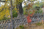 Autumn at Raunestad-9521